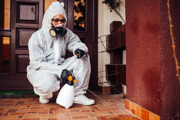Attic and Crawl Space Rodent Treatment in Hampstead